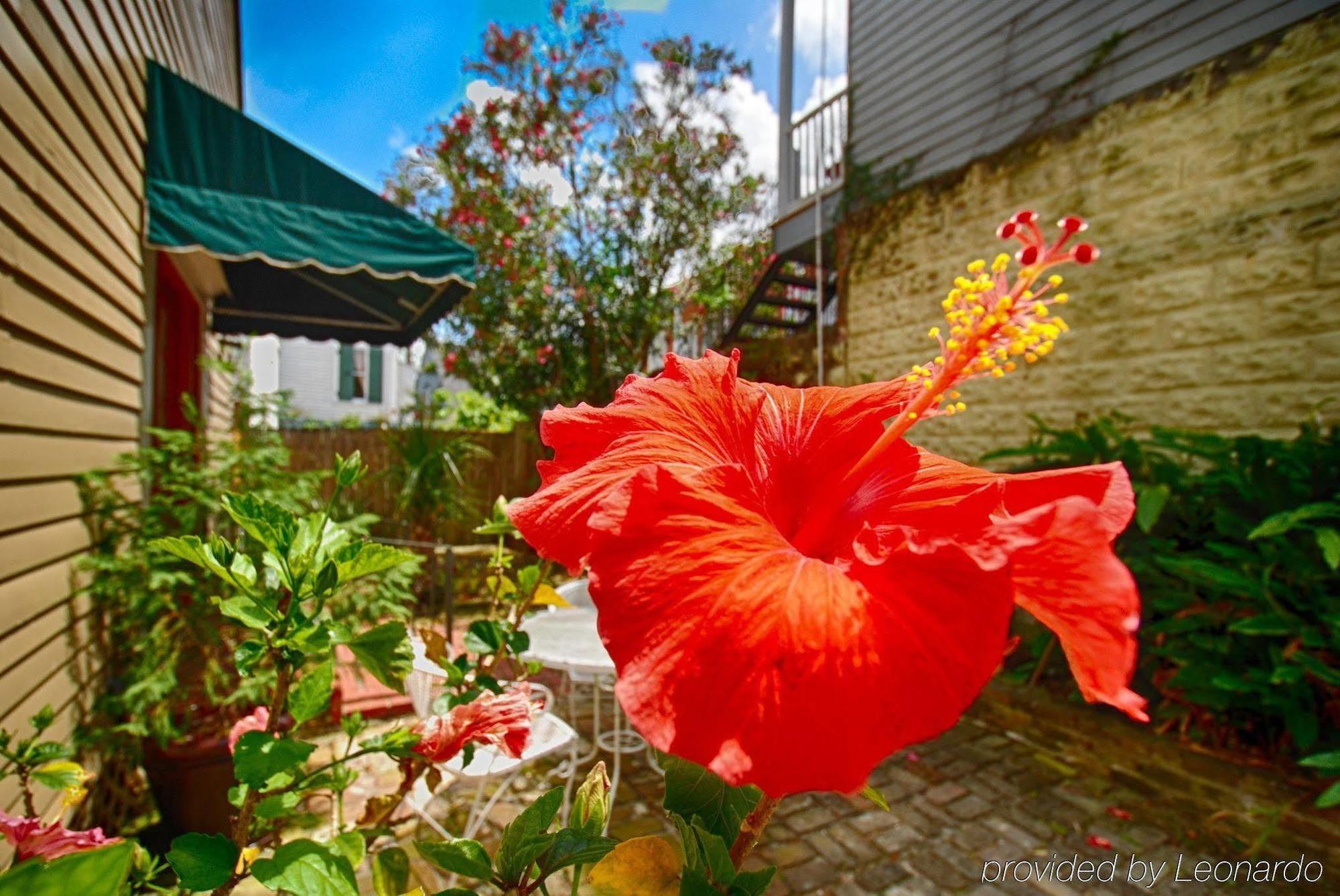 Lamothe House Hotel A French Quarter Guest Houses Property 뉴올리언스 외부 사진